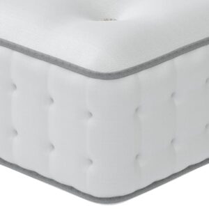 Luxury 2000 Plush - image 1