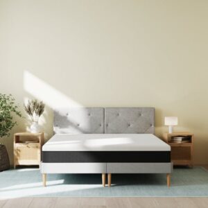 Hybrid Original - image 1