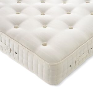 Orthos Support 8 Firm - image 1